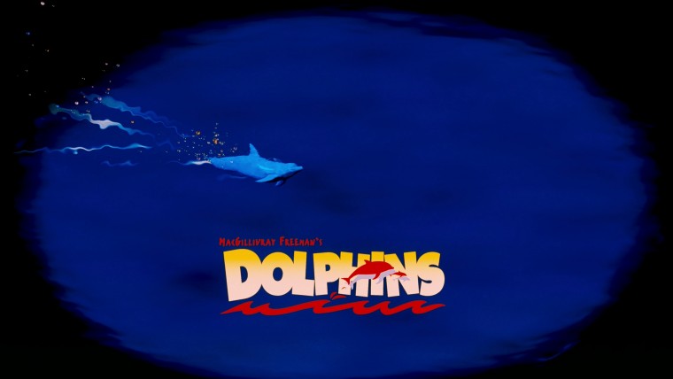 IMAX.Dolphins.2000.2160p.Amazon.WEBRip.DD2.0.x264-TrollUHD.mkv_20160505_153728.750.jpg