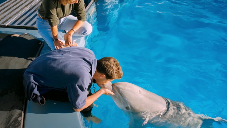 IMAX.Dolphins.2000.2160p.Amazon.WEBRip.DD2.0.x264-TrollUHD.mkv_20160505_154415.640.jpg