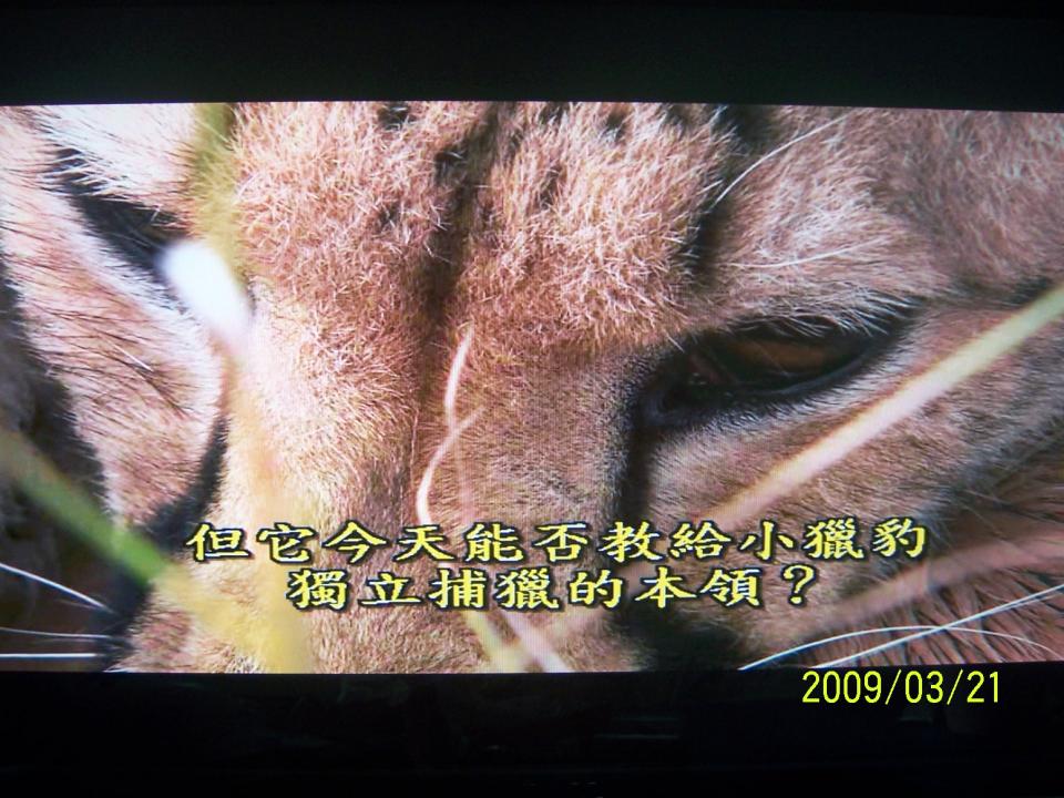 100_4544.JPG