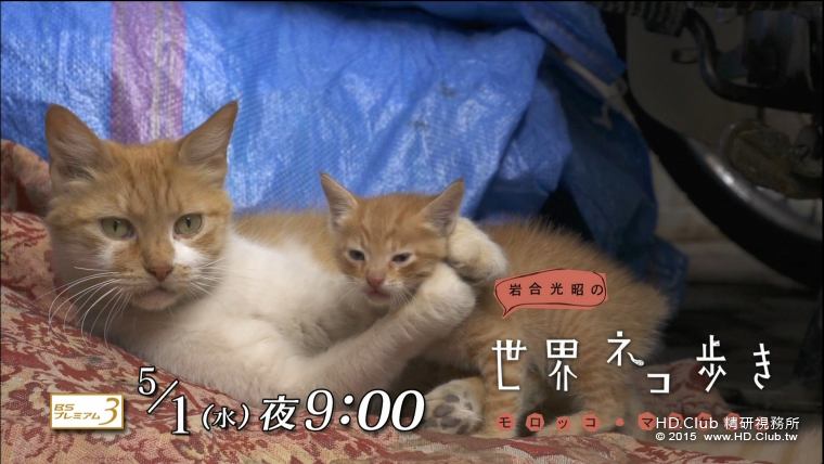 iwa0515.png
