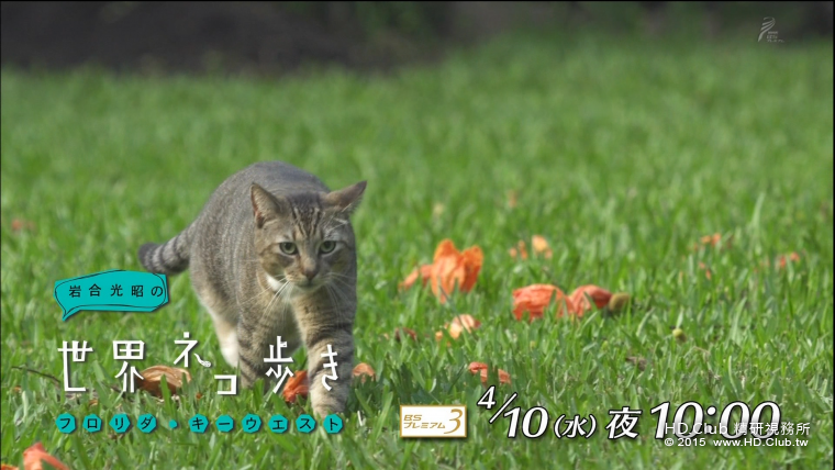iwa0415.png