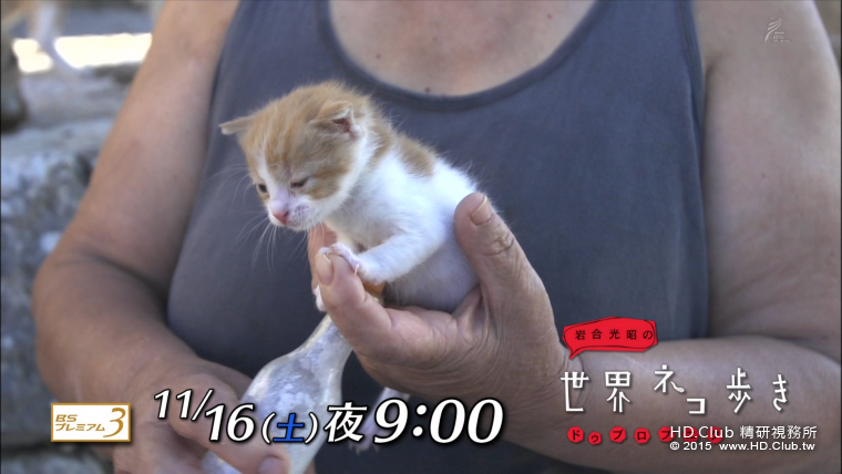 iwa1113.png
