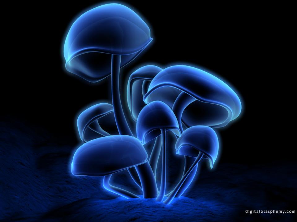 fluorescence.jpg