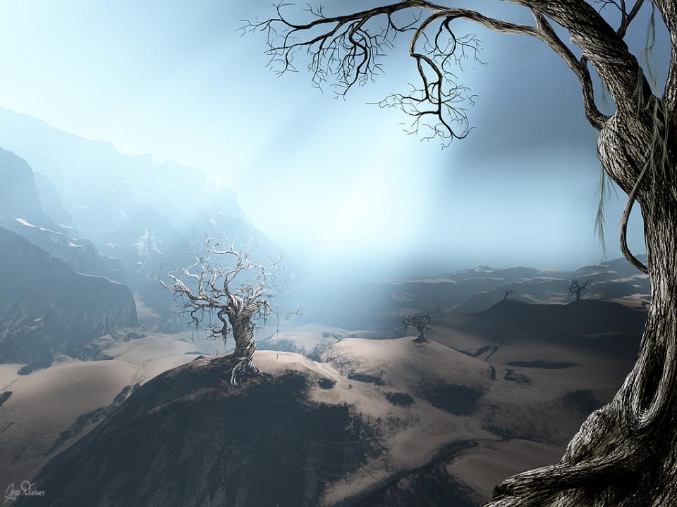 the dead garden.jpg