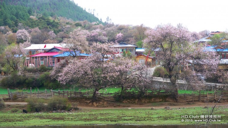 P1090470s.jpg
