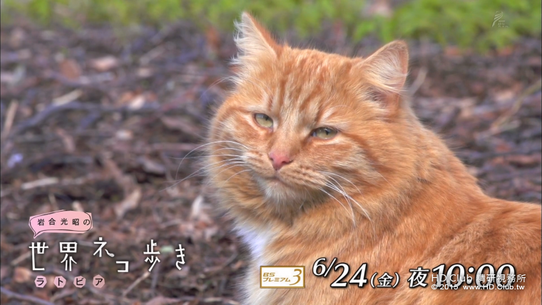 iwa0616.png