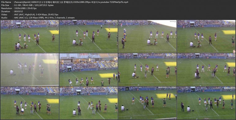 (Fancam)[Apink] 160619 문수부장에서 에이핑크를 봗에용(3).1920x1080.29fps-버블티 .jpg