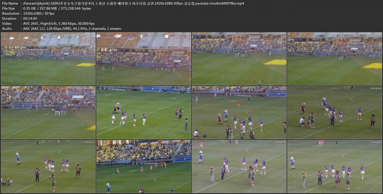 (Fancam)[Apink] 160619 문수축구경기장 K리그 울산 수원전 에이핑크 하프타임 공연.1.jpg