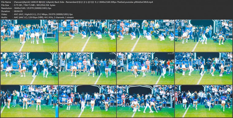 (Fancam)[Apink] 160619 에이핑크(Apink) Back Side - Remember@울산 문수경기장 축구.jpg