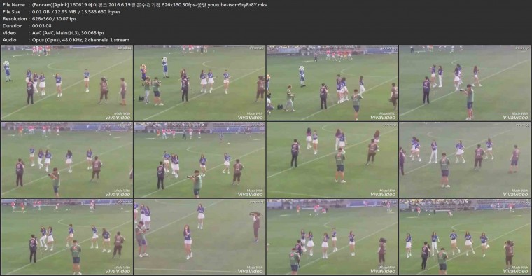 (Fancam)[Apink] 160619 에이핑크 2016.6.19일 문수경기장.626x360.30fps-꽃달.youtub.jpg