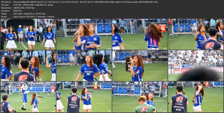 (Fancam)[Apink] 160619 울산문수축구경기장 k리그 하프타임 특별공연 - Mr.Chu 정은.jpg
