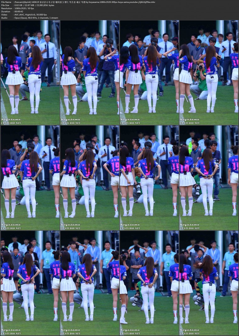 (Fancam)[Apink] 160619 울산문수축구장 에이핑크 멘트 박초롱 세로 직캠 by hoyasama.jpg