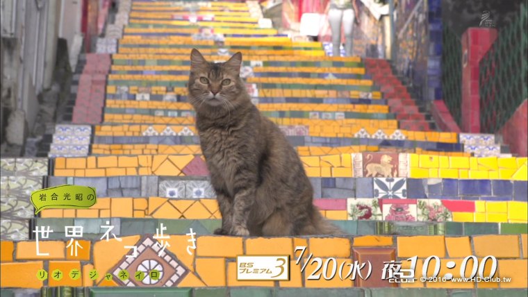 iwa7-2.png