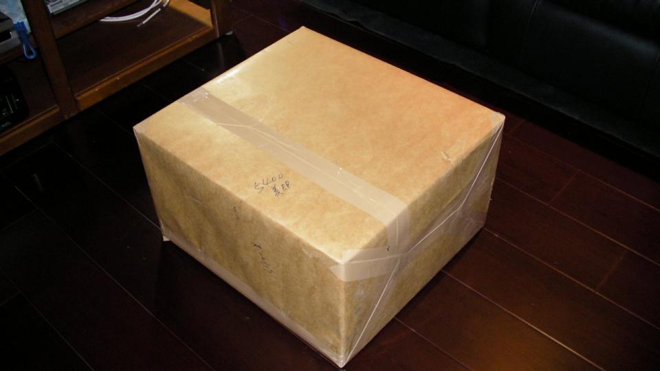 外包皮尚未翻出來的樣子