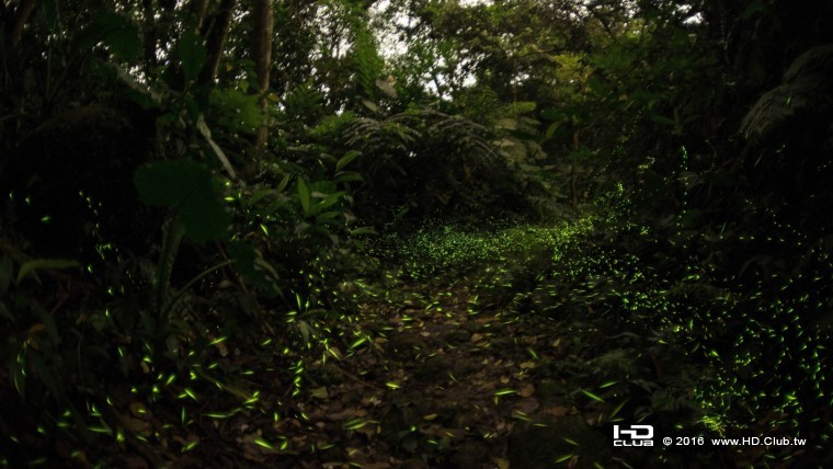 2016 台灣 α7 系列攝影比賽_低光源_第一名_蘇秉修.jpg