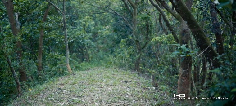 2016-12-10 上午 11-38-00_調整大小.jpg