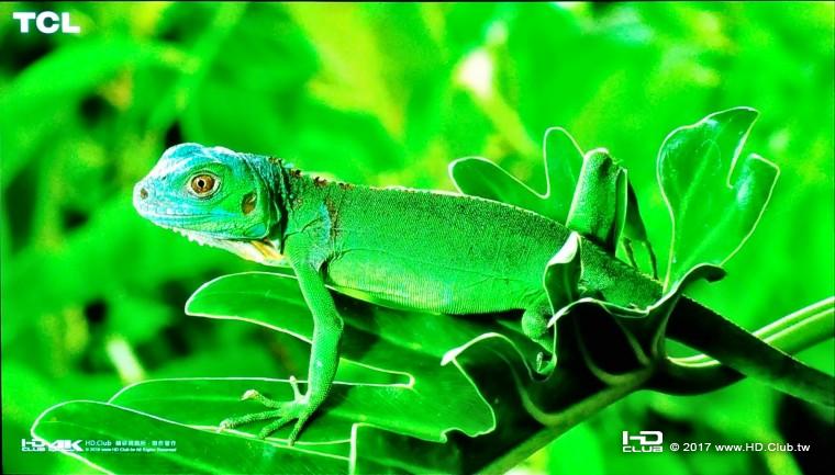 2017-5-10 下午 02-50 Office Lens - 複製 (2).jpg