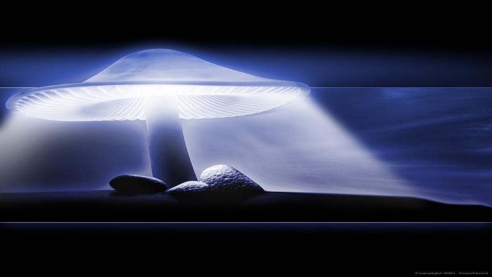 blue-mushroom-3d-layout-myspace.jpg