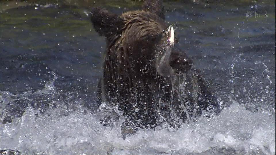 090501-214037-1280x720p-000043.jpg