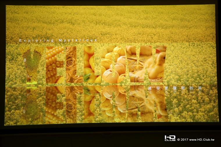 OPPO010.jpg