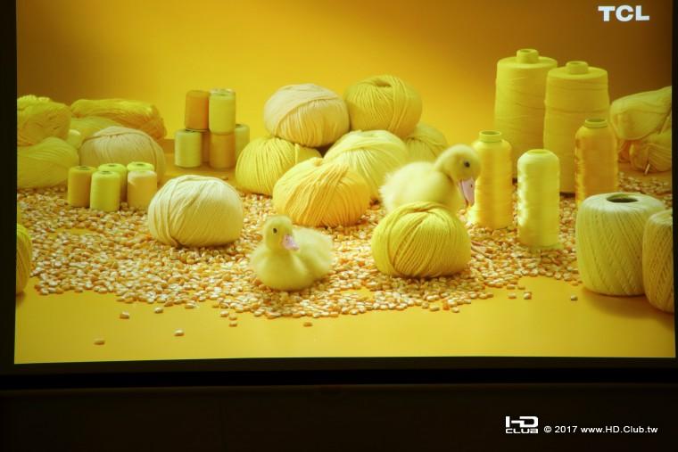 OPPO011.jpg