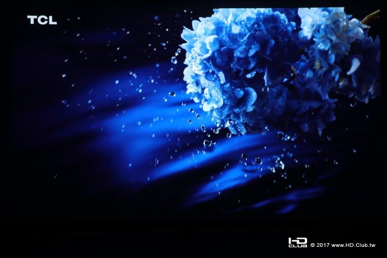 OPPO012.jpg