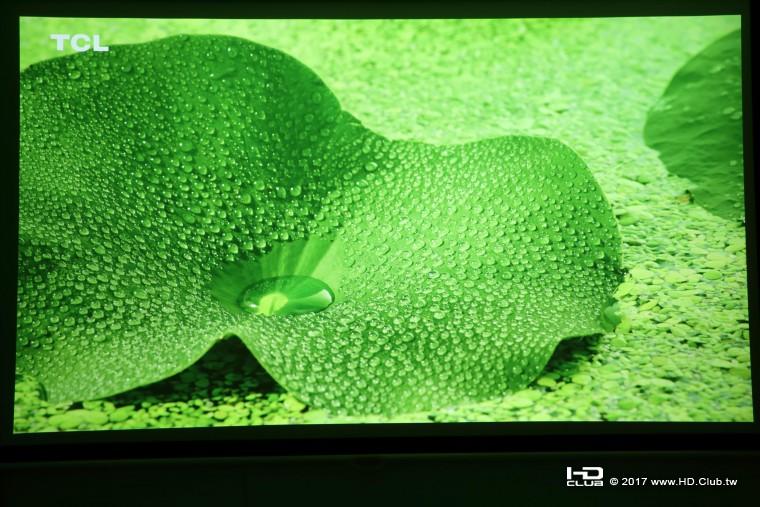 OPPO008.jpg