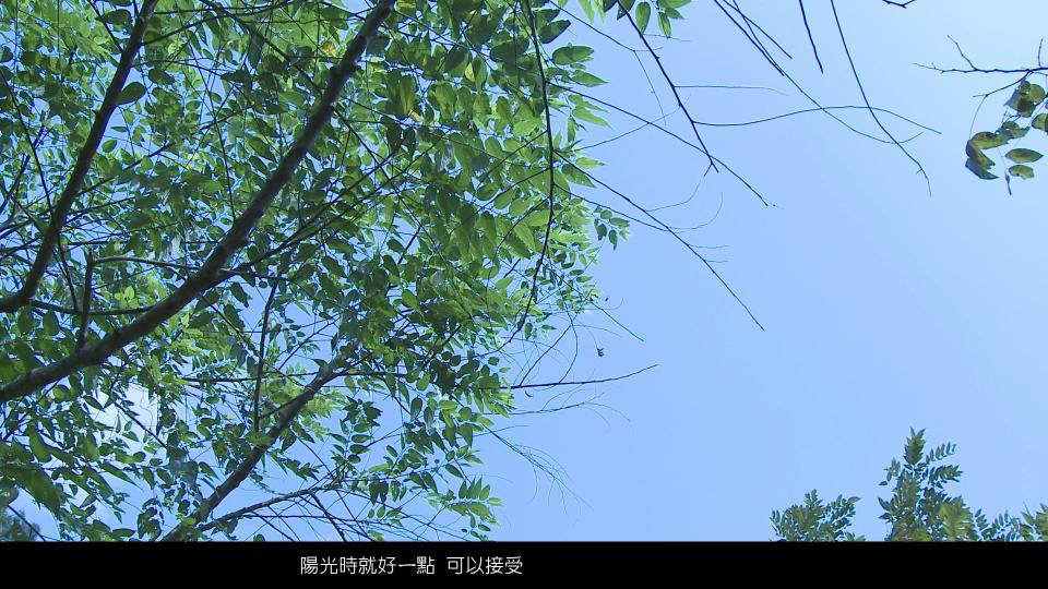 005.jpg