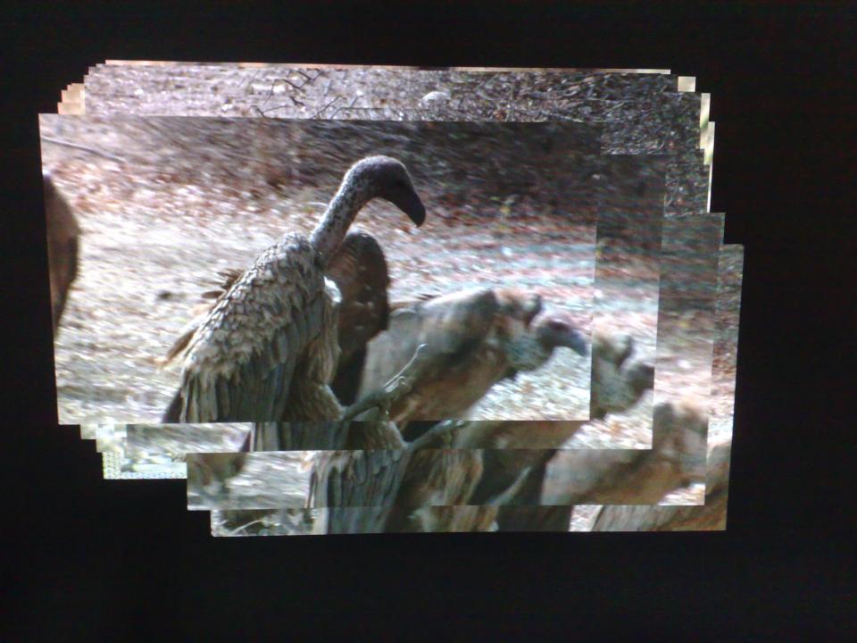 這張是用手機拍的，拍的不好請見諒，基本上影像是要去拉動視窗才會有的。 ...