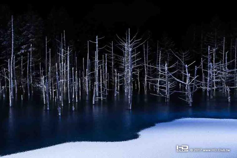 2017 索尼世界攝影大獎_公開賽_自然類別_優勝_Hiroshi Tanita_日本.jpg
