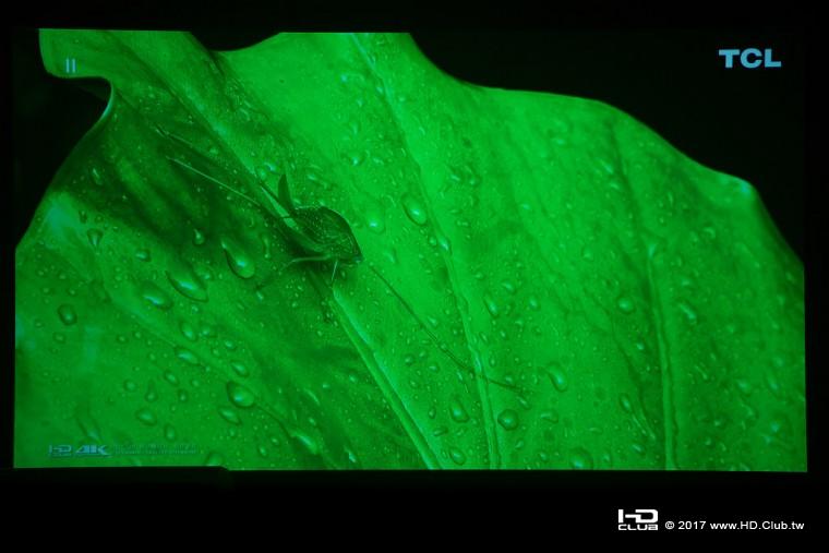 nEO_IMG__DSC4183.jpg