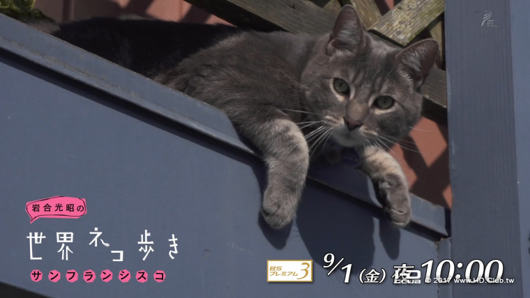 iwa0917b.png