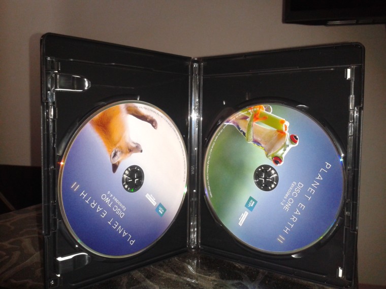 2017-10-07 15.28.53.jpg