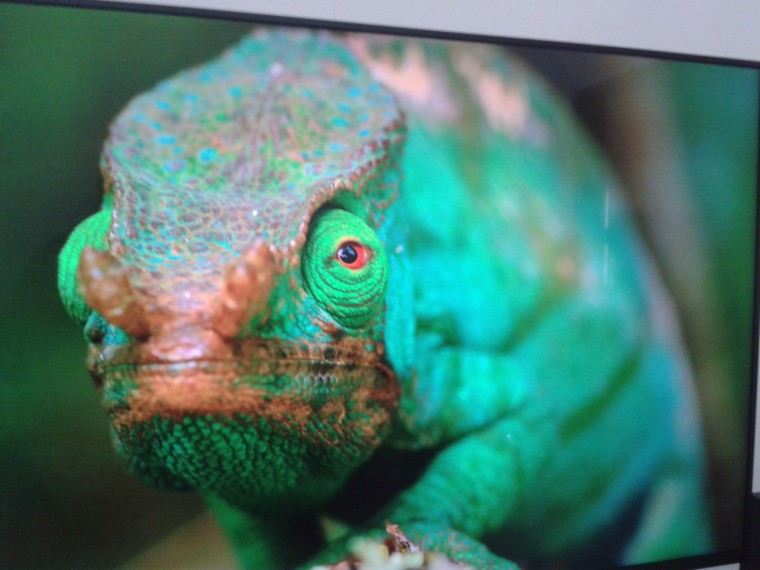 2017-10-07 15.38.09.jpg