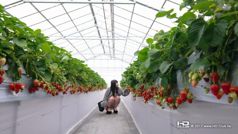 【4K】オンナの癒し旅 〔PG12〕.ts_snapshot_03.04_[2017.06.30_20.36.21].jpg