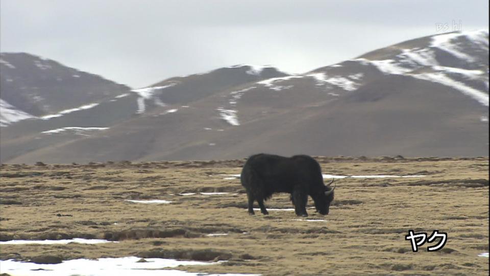 090425-112144-1280x720p-000105.jpg