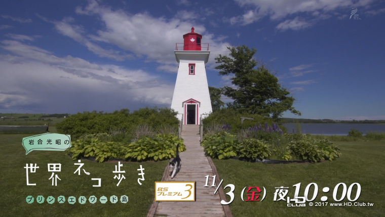 IWA1117A.png