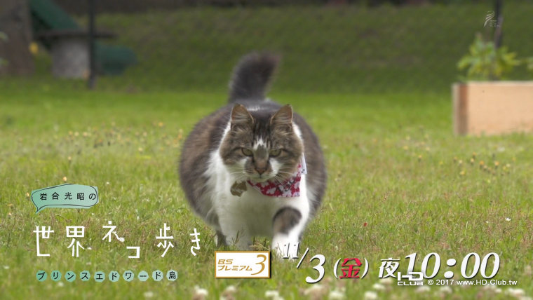 IWA1117C.png