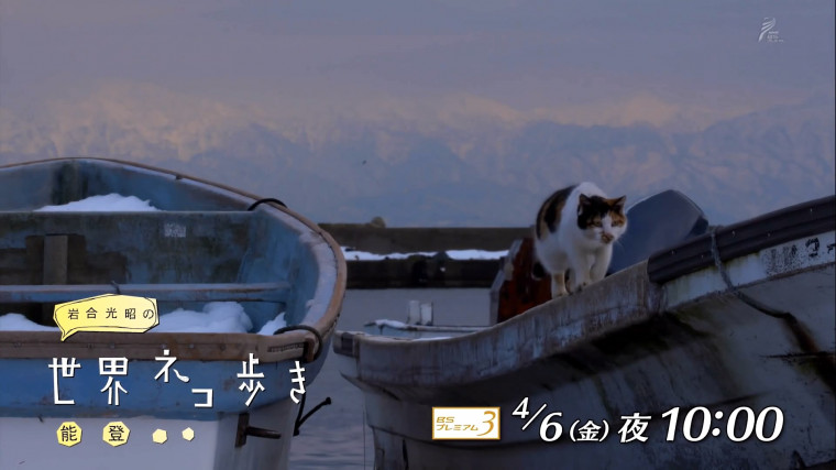 20180329_223144.MOV_snapshot_00.03.jpg
