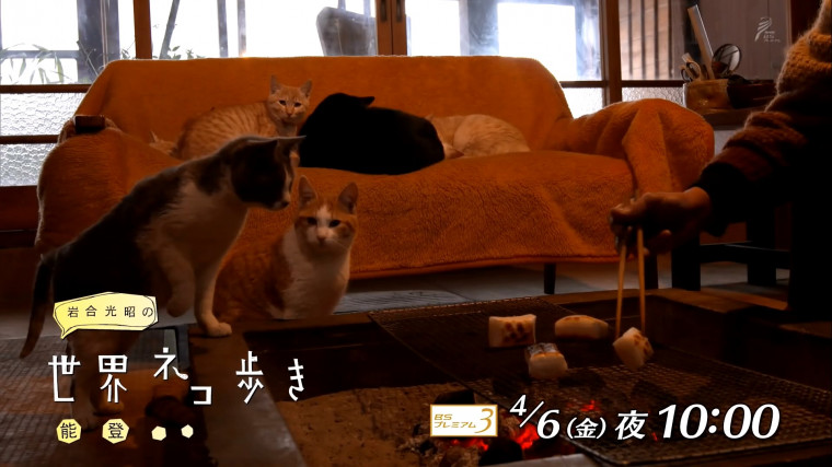 20180329_223144.MOV_snapshot_00.06.jpg