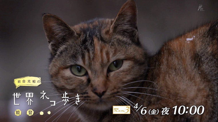 20180329_223144.MOV_snapshot_00.08.jpg