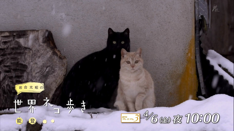 20180329_223144.MOV_snapshot_00.13.jpg
