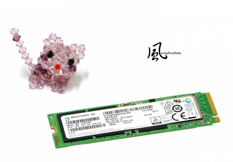 SPM98102.jpg