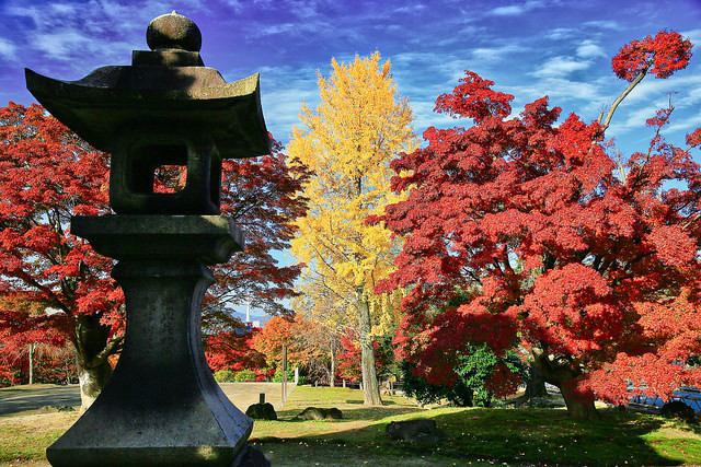 25288689207_81b1d79c23_z (1).jpg