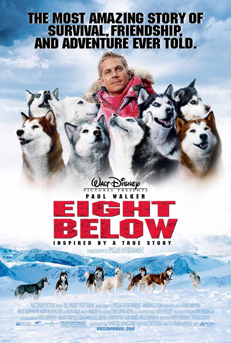 eight_below_xlg.jpg