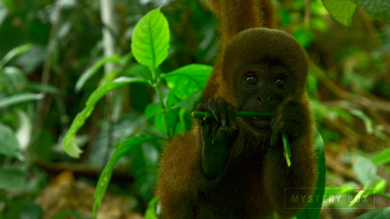 [J&amp;K.8K.视频] 秘鲁Peru 60FPS VP9.webm_000050.851.jpg