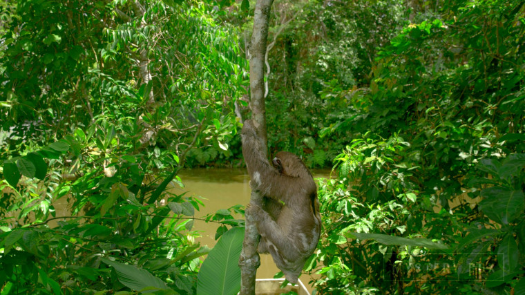 [J&amp;K.8K.视频] 秘鲁Peru 60FPS VP9.webm_000059.986.jpg