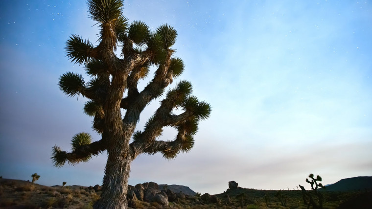 [2K.6声道风景片] 时间的风景TimeScapes[YUV444p10_1080p][x264_5.1ch_flac].mkv_0036.jpg