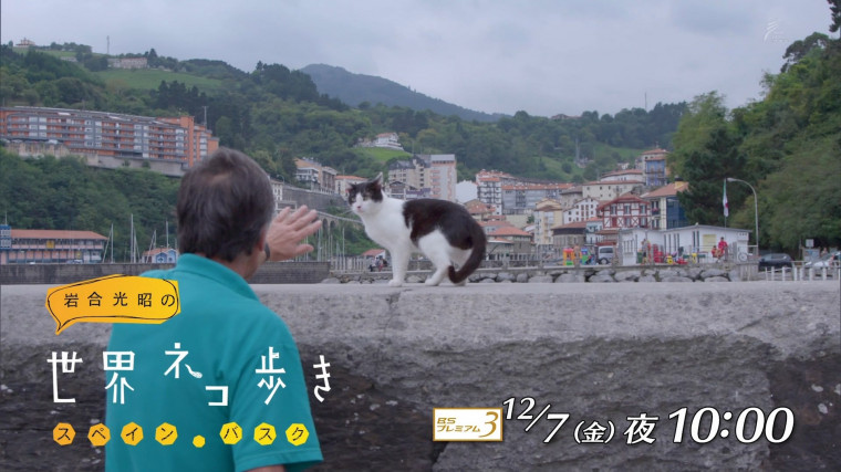 iwa1218d.jpg