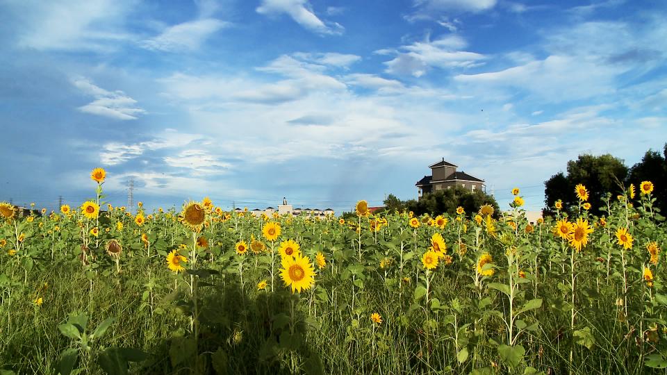 C20.jpg